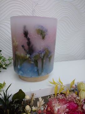 ずこうしつ〜sugamo〜に投稿された画像（2022/4/30）