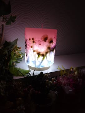 ずこうしつ〜sugamo〜に投稿された画像（2022/4/30）