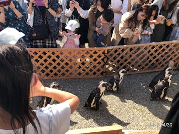 名古屋港水族館に投稿された画像（2022/4/30）