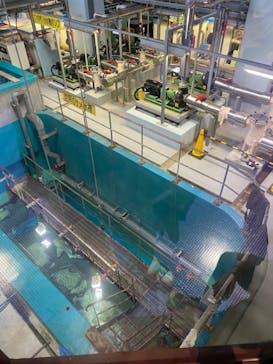 アクアワールド茨城県大洗水族館に投稿された画像（2022/4/30）