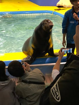 ゼロ距離水族館 伊勢シーパラダイスに投稿された画像（2022/4/30）
