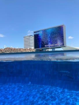名古屋港水族館に投稿された画像（2022/4/30）