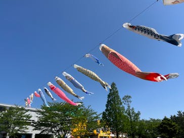 千葉こどもの国 キッズダムに投稿された画像（2022/4/30）