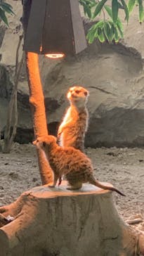 那須どうぶつ王国に投稿された画像（2022/4/30）