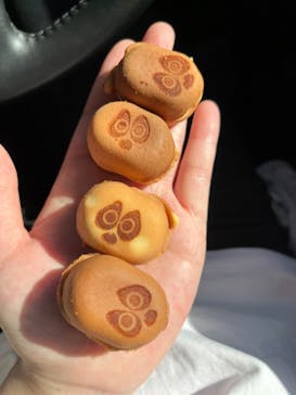 日本モンキーパークに投稿された画像（2022/4/30）