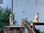 東武動物公園に投稿された画像（2022/4/30）