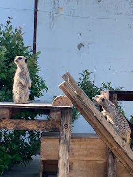 東武動物公園に投稿された画像（2022/4/30）
