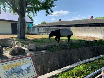 東武動物公園に投稿された画像（2022/4/30）