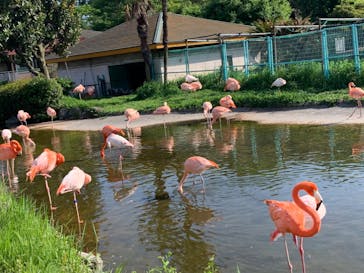 東武動物公園に投稿された画像（2022/4/30）