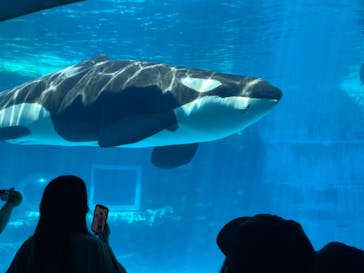 名古屋港水族館に投稿された画像（2022/4/30）