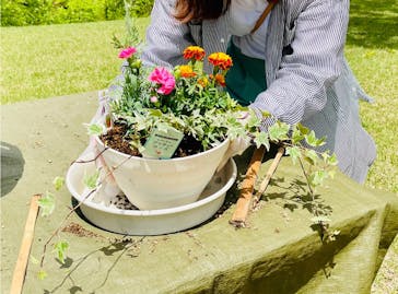 とっとり花回廊に投稿された画像（2022/4/30）