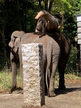 よこはま動物園ズーラシアに投稿された画像（2022/4/30）
