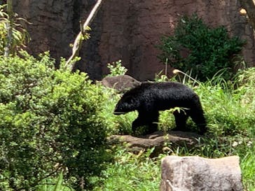 よこはま動物園ズーラシアに投稿された画像（2022/4/30）