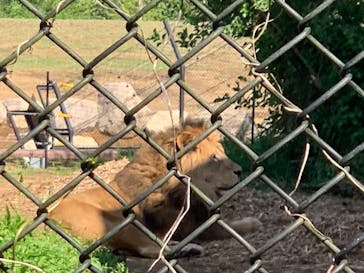 よこはま動物園ズーラシアに投稿された画像（2022/4/30）