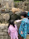 伊豆シャボテン動物公園に投稿された画像（2022/4/30）