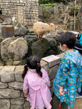 伊豆シャボテン動物公園に投稿された画像（2022/4/30）