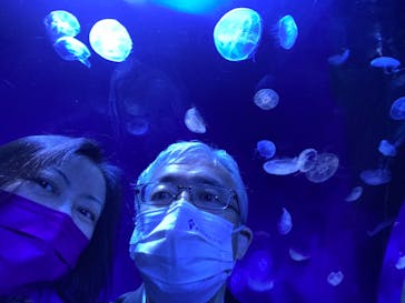 サンシャイン水族館に投稿された画像（2022/4/30）