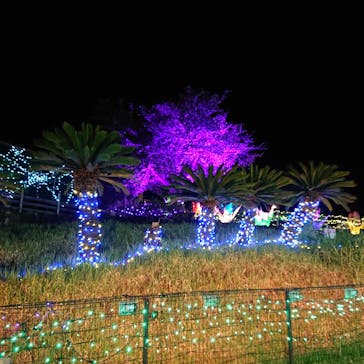 伊豆ぐらんぱる公園に投稿された画像（2022/4/30）