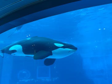 名古屋港水族館に投稿された画像（2022/4/30）