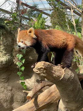 神戸どうぶつ王国に投稿された画像（2022/4/30）