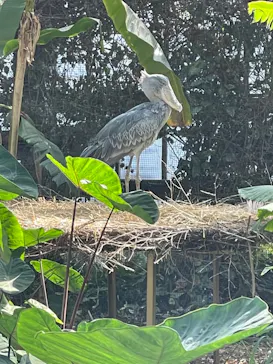 神戸どうぶつ王国に投稿された画像（2022/4/30）