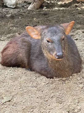 神戸どうぶつ王国に投稿された画像（2022/4/30）