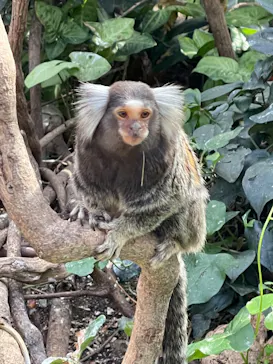 神戸どうぶつ王国に投稿された画像（2022/4/30）