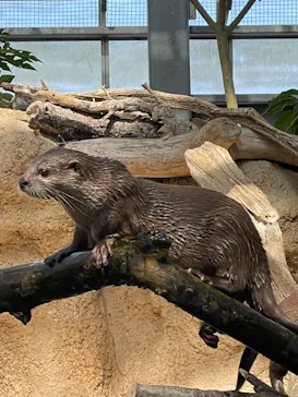 神戸どうぶつ王国に投稿された画像（2022/4/30）