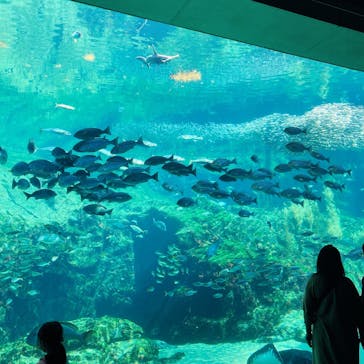 九十九島水族館海きららに投稿された画像（2022/4/30）