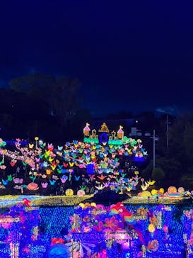 伊豆ぐらんぱる公園に投稿された画像（2022/4/30）