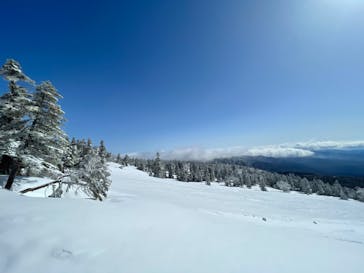 横手山・渋峠スキー場に投稿された画像（2022/4/30）