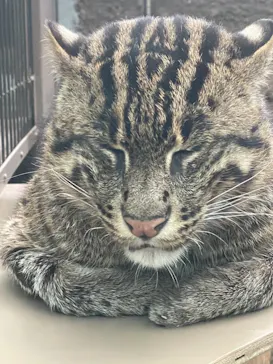 神戸どうぶつ王国に投稿された画像（2022/4/30）