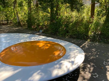 彫刻の森美術館に投稿された画像（2022/4/30）