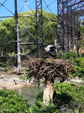 天王寺動物園に投稿された画像（2022/4/30）