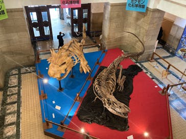 国立科学博物館　特別企画展「ポケモン化石博物館」に投稿された画像（2022/4/30）