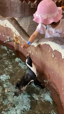 ひらかたパークに投稿された画像（2022/4/30）