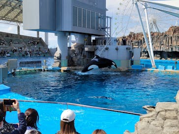 名古屋港水族館に投稿された画像（2022/4/30）
