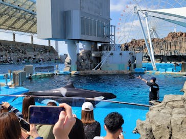 名古屋港水族館に投稿された画像（2022/4/30）