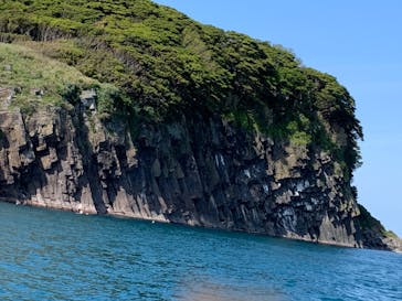 東尋坊観光遊覧船株式会社に投稿された画像（2022/4/30）