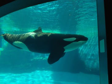 名古屋港水族館に投稿された画像（2022/4/30）