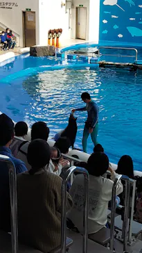 仙台うみの杜水族館に投稿された画像（2022/4/30）