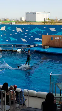 仙台うみの杜水族館に投稿された画像（2022/4/30）