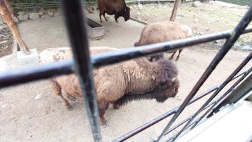 那須サファリパークに投稿された画像（2022/4/30）