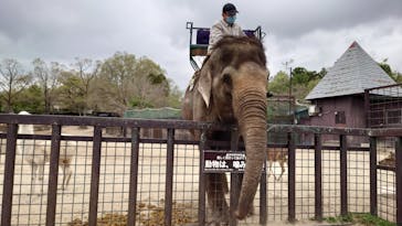 那須サファリパークに投稿された画像（2022/4/30）