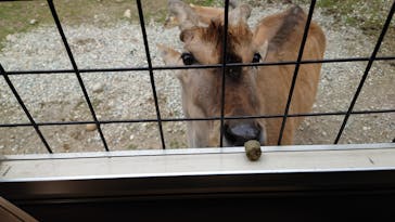 那須サファリパークに投稿された画像（2022/4/30）