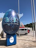 大分マリーンパレス水族館 「うみたまご」に投稿された画像（2022/5/1）