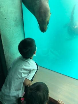 大分マリーンパレス水族館 「うみたまご」に投稿された画像（2022/4/30）