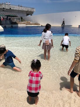 大分マリーンパレス水族館 「うみたまご」に投稿された画像（2022/4/30）