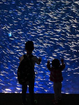 大分マリーンパレス水族館 「うみたまご」に投稿された画像（2022/4/30）
