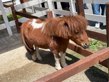 東武動物公園に投稿された画像（2022/4/30）